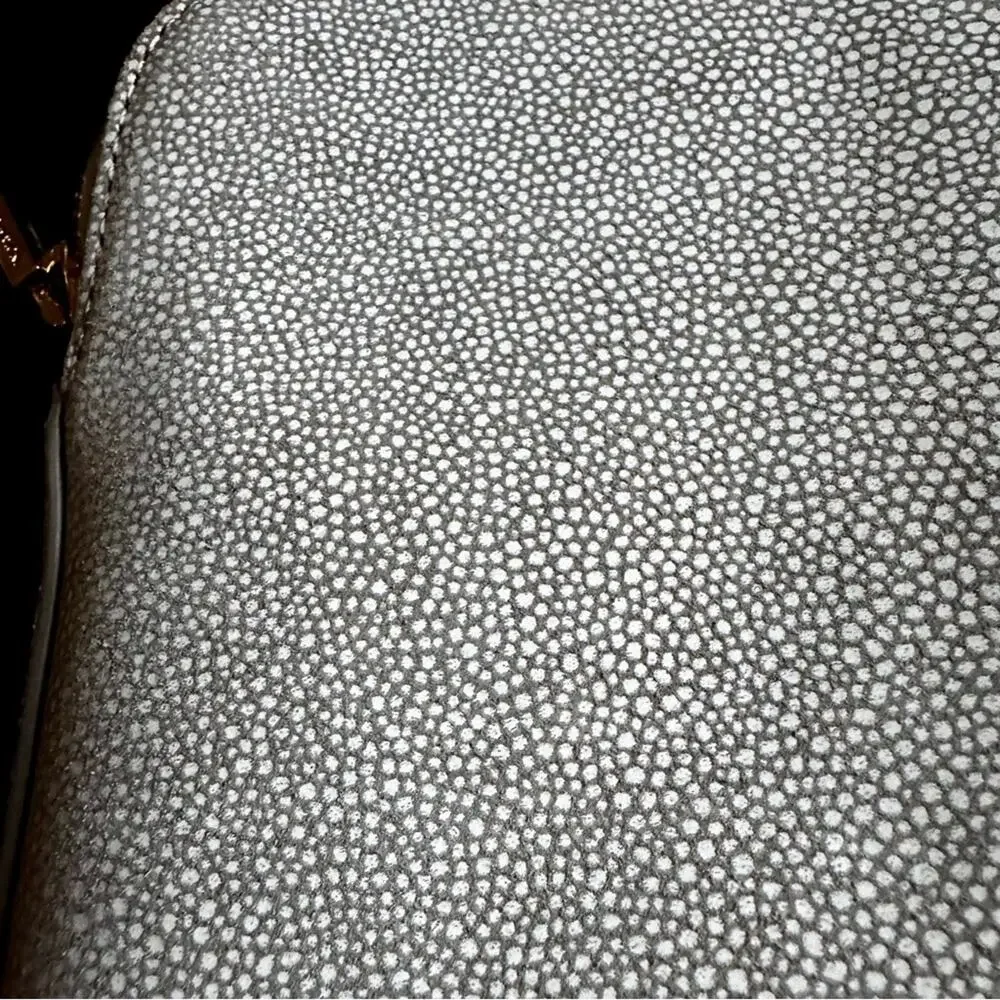 INDIA‎ HICKS The Insider Pouch/Clutch- Stingray-Shagreen Pebble Leather NWOT
